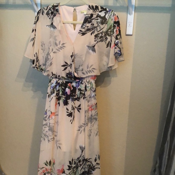 GORGEOUS Floral Chiffon Maxi Dress, formal Semi-formal, floor length, like new - Picture 2 of 3